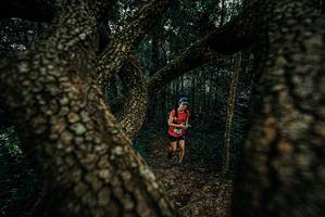 BIB: 
                            <button type="button" onclick="openModal(25679634)" class="btn btn-primary btn-sm float-right btn-popup" data-toggle="modal" data-target=".modal-high-quality">
                        <i class="fas fa-shopping-cart"></i> Add to Cart
                    </button>
                                            <button type="button" onclick="isThisMe(25679634, true)" class="btn btn-success btn-sm float-right btn-popup btn-isme hidden" data-toggle="tooltip" data-placement="bottom" title="นี่คือรูปของคุณใช่ไหม คลิกที่นี่เพื่อเอาเข้าอัลบั้ม">
                        <i class="fas fa-plus"></i> Add to album
                    </button>
                    <button type="button" onclick="isThisMe(25679634, false)" class="btn btn-warning btn-sm float-right btn-popup btn-isnotme hidden">
                        <i class="fas fa-ban"></i> Remove from album
                    </button>